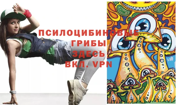 apvp Белоозёрский