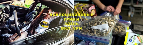 apvp Белоозёрский
