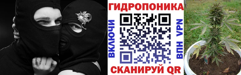 сколько стоит  Воткинск  Канабис тримм 